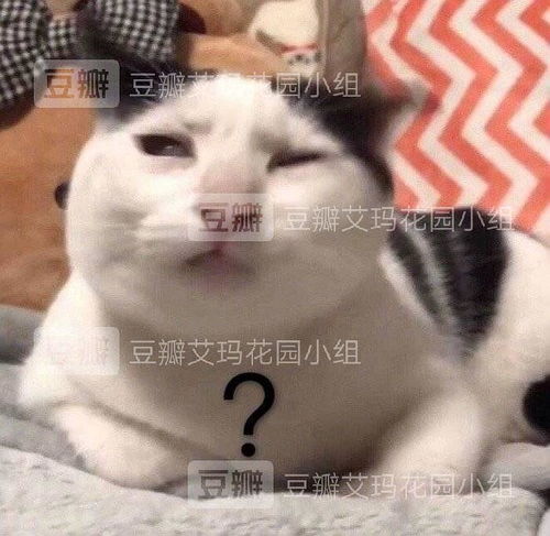 污问号表情包长得丑