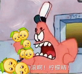 不结婚就跳飞机买菜市民和硕士港姐的婚姻就是爱情的样子