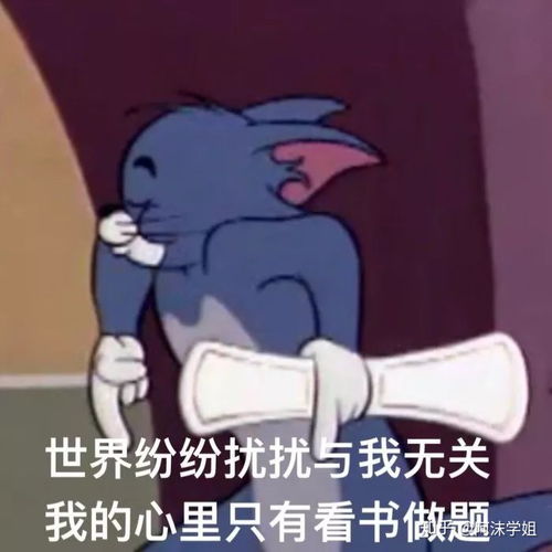 英语不会,专升本怎么办