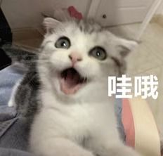 画风清奇特朗普卸任前收到了一份特殊的礼物