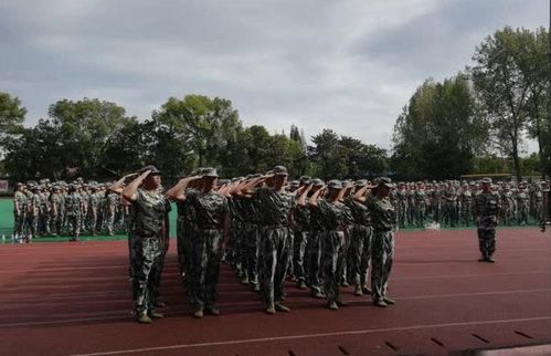 表情厉害了,央视报导的贵州财经大学军训,刷爆全网花式秀军训表情