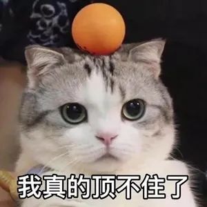 沈阳,大到暴雨