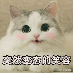 中山市有啥好吃好玩的