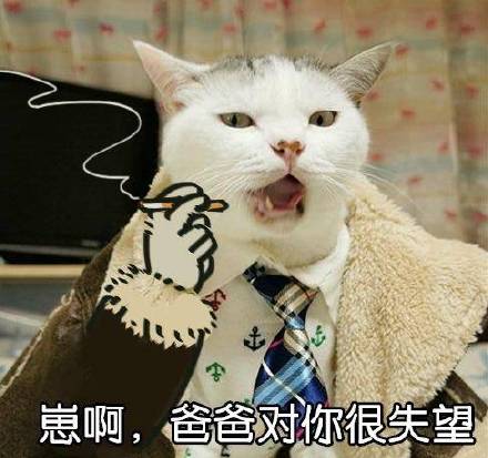 喊爸表情包