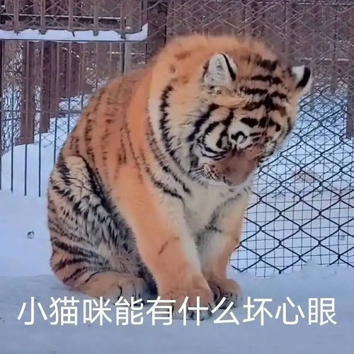 实力羡慕日木金木月木的孩砸
