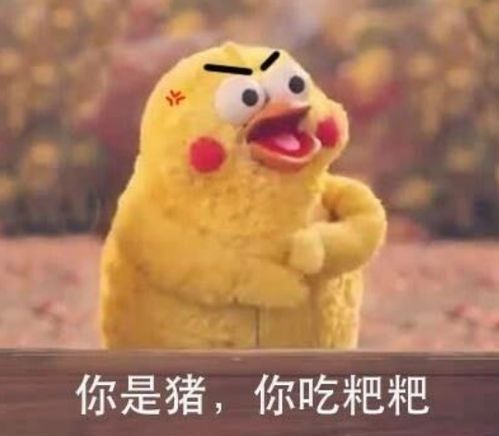 你家憨憨最喜欢的表情包你算哪块小饼干