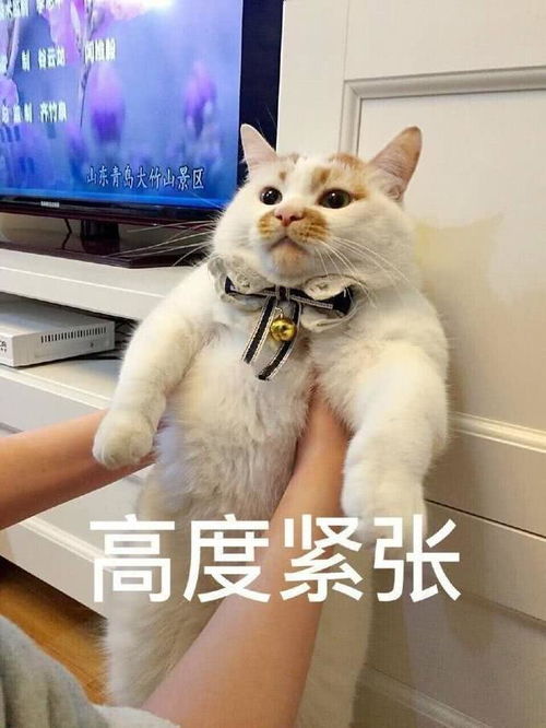 十条笑话妈妈,管好你家男人,他又想骗我压岁钱