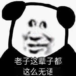 熊猫头表情包i你没睡醒吗哥们