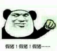 假猪套天下第一表情包