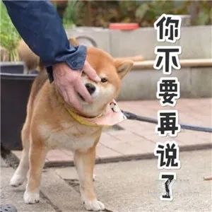 太累了表情包柴犬