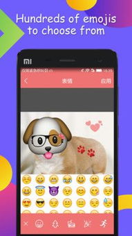 表情贴纸相机app下载表情贴纸相机app手机版客户端下载v1.0.6嗨客手机站