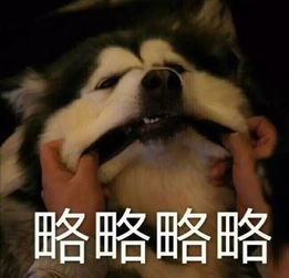 想回家的图片表情包略略略