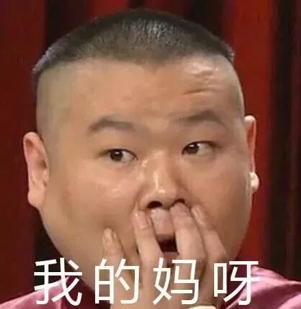 装着800万财物的手提包丢了浙江女子急了它自己飞走的