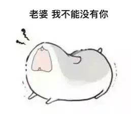 可爱仓鼠夫妇表情包