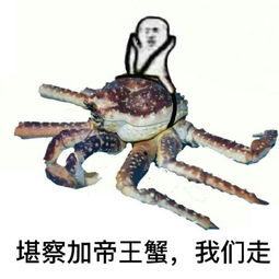 皮皮虾我们走究竟是什么梗全套及衍生表情包合集