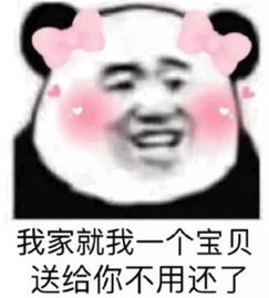 搞笑熊猫头表情包我家就我一个宝贝送给你,不用还了