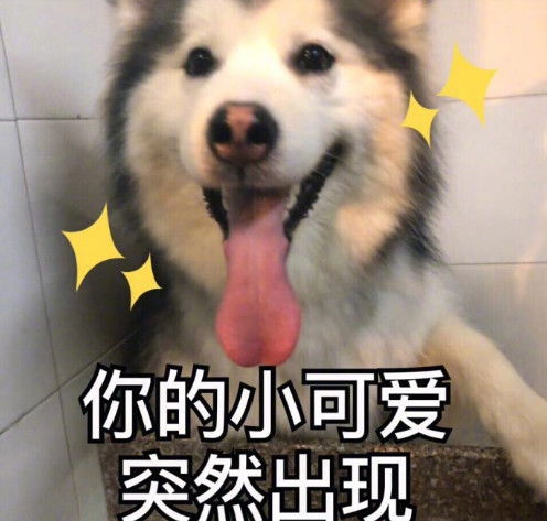 打爆气球的表情包爆脾气