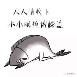 暴雨袭击深圳,交警居然在摸鱼