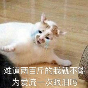 卖起了充电器和大厦,乐视为还钱真是拼了