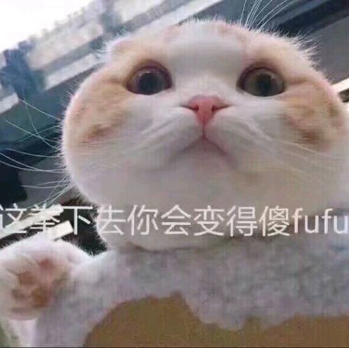 成千只丧尸来袭,我车却毁了两个二货的末日求生之旅