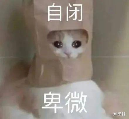 牛油果能丰胸吗