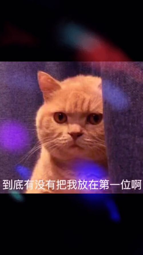 想回家的图片表情包趣图