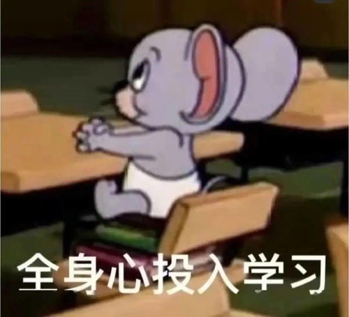 注意期末考试还有10天到达