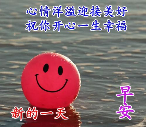 早上好最流行的早安经典问候祝福语超美鲜花图片带字