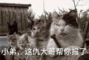永远跟党走跟党走永远表情