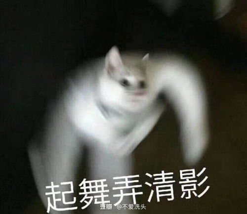 求破镜重圆文