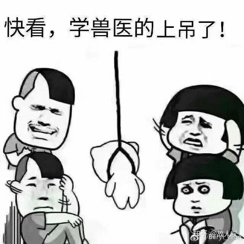 瘦成棍表情包词汇