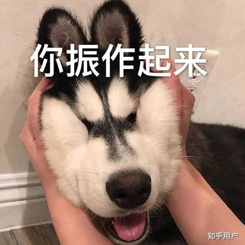 如何看待长辈亲戚要吃自己的小动物