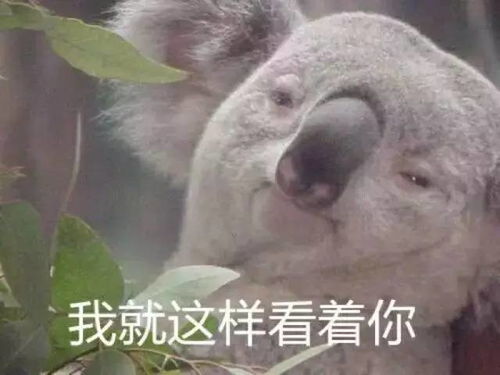 什么马上就要开学了