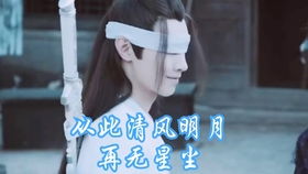 人物混剪美好向希望我爱的少年们都岁月静好内含忘羡江厌离江澄金凌金光瑶金子轩温宁等