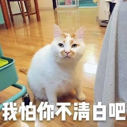 2017最火表情包出炉笑着笑着就扎心了赶快右键来收图