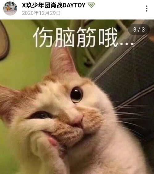 肖战又来报喜了小面包暗戳戳秀恩爱,唯有一人懂得他的良苦用心
