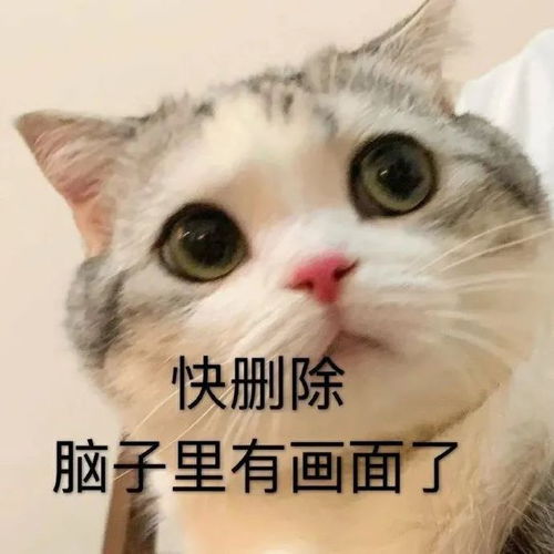 幽默搞笑表情包医生说湿气太重了,需要亲热解毒