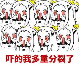 北方栖姬表情包