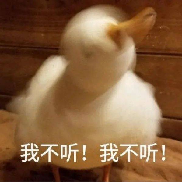 4十堰又要下雪了就在......