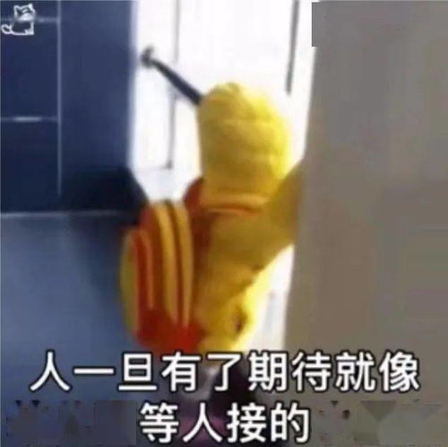 今日份热门表情你又不跟我睡管我几点睡