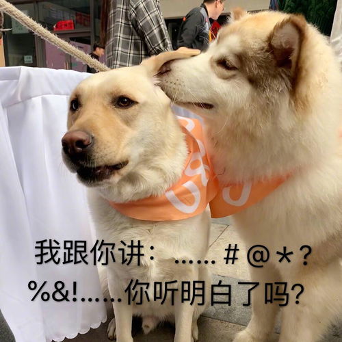 第一次用ins和fb,求助姐妹们