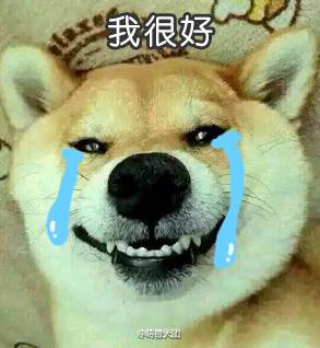 七夕单身狗表情包