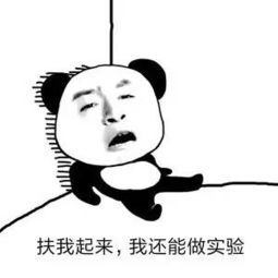 ros中的定频神器