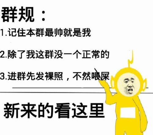 群聊必备表情图群主为何长期不现身这背后又隐藏着什么