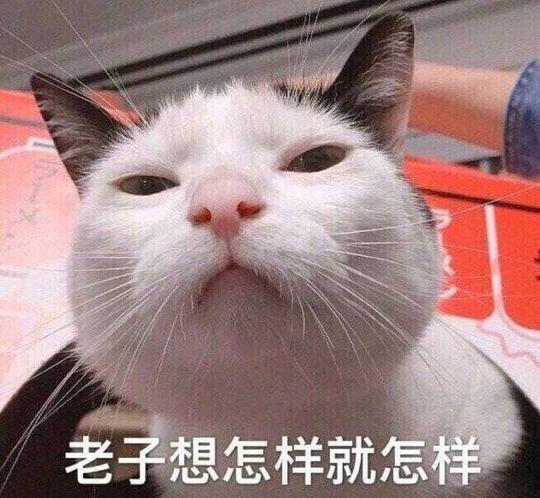 厉害图片表情包牛逼