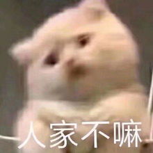 我,混世大魔王,申请做你的小熊软糖