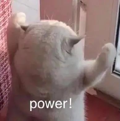 表情包想不到吧,我还没睡