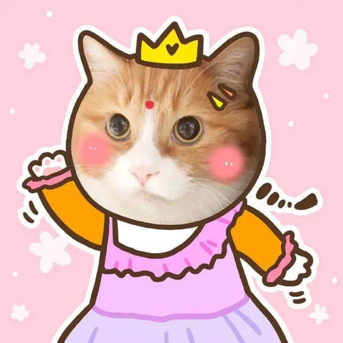 分享甜甜甜甜的猫猫头像