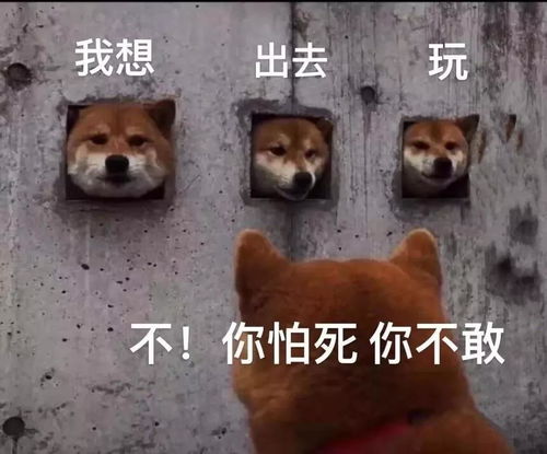 宅在家无聊的朋友圈文案