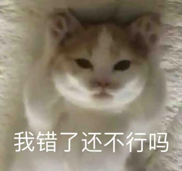 表情包想你,并且超级加倍